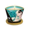 Shunga Massage Candle Island Blossoms 170ml -SensualBliss SHU4524